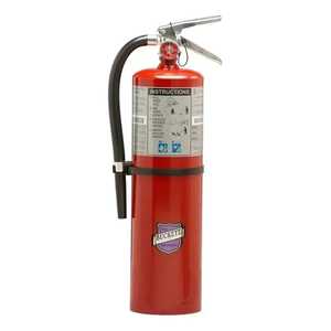 Buckeye 10 lb Purple K Fire Extinguisher 80-B:C