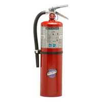 Buckeye 10 lb Purple K Fire Extinguisher 80-B:C
