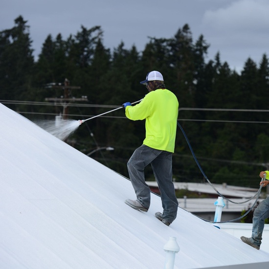 Ames Premium Roof Armor Elastomeric Roof Coating - Image 2