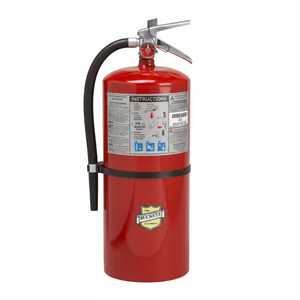 Buckeye ABC Dry Chemical Fire Extinguisher w/ Wall Hook – 20 lb.
