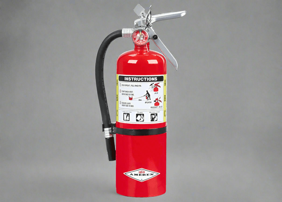 Buckeye ABC Dry Chemical Fire Extinguisher w/ Wall Hook – 5 lb. - Image 1