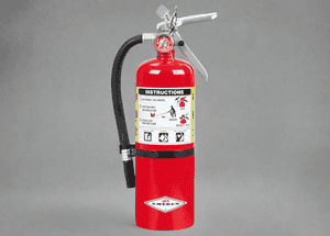Buckeye ABC Dry Chemical Fire Extinguisher w/ Wall Hook – 5 lb.