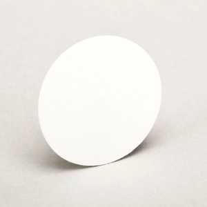 MSA Hydrophobic Filter for FiveStar Alarm & Passport Personal Alarm