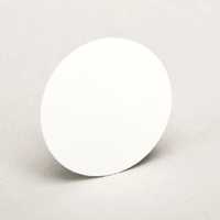 MSA Hydrophobic Filter for FiveStar Alarm & Passport Personal Alarm