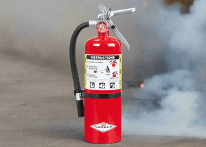 Buckeye ABC Dry Chemical Fire Extinguisher w/ Vehicle Bracket – 5 lb.