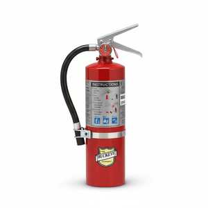 Buckeye ABC Dry Chemical Fire Extinguisher w/ Vehicle Bracket – 5 lb.