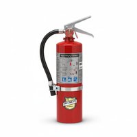 Buckeye ABC Dry Chemical Fire Extinguisher w/ Vehicle Bracket – 5 lb.