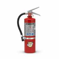 Buckeye ABC Dry Chemical Fire Extinguisher w/ Vehicle Bracket – 5 lb.
