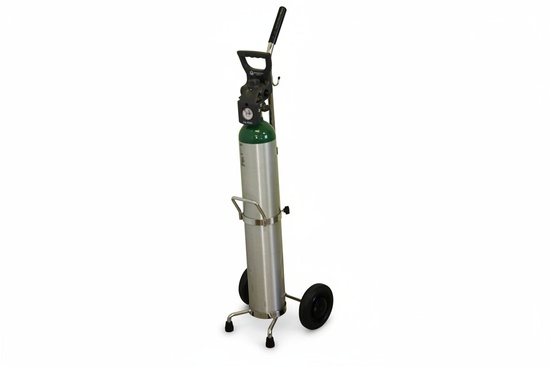 Saf-T-Cart MDE-6X Economy Home Cylinder Cart - Image 1