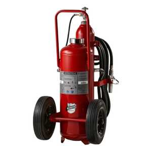 Buckeye 50 lb Purple K Wheeled Fire Extinguisher 160-B:C